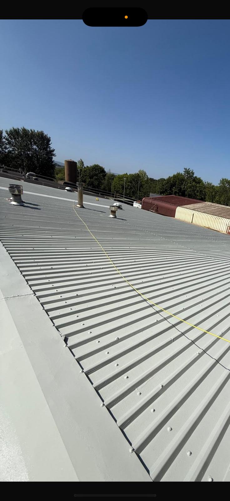 Roof Coatings works detail
