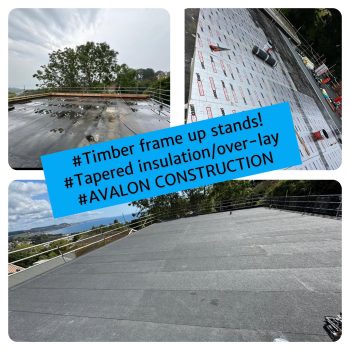 Domestic Roofing works detail